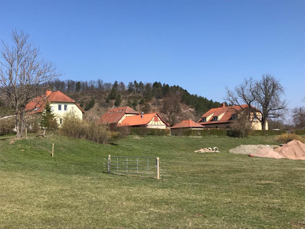 Pension Freudenthal Wandersleben Esterno foto